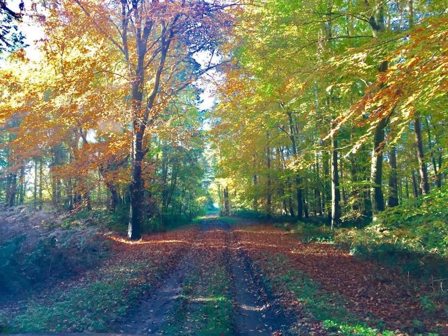 Forestry Cottage. Hot Tub, Open Fire, Dog Friendly Gaywood Екстер'єр фото