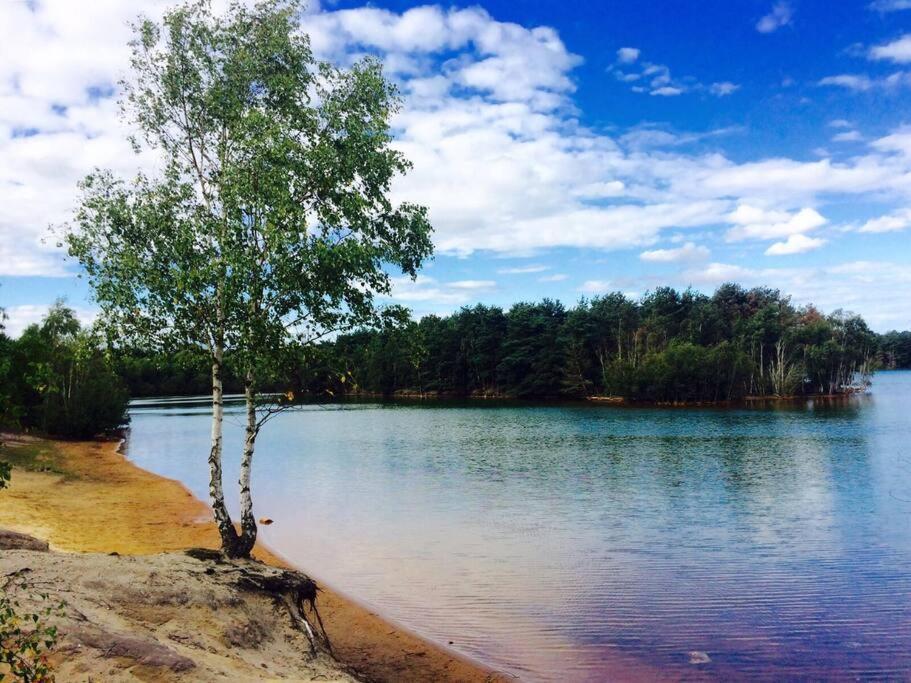 Forestry Cottage. Hot Tub, Open Fire, Dog Friendly Gaywood Екстер'єр фото