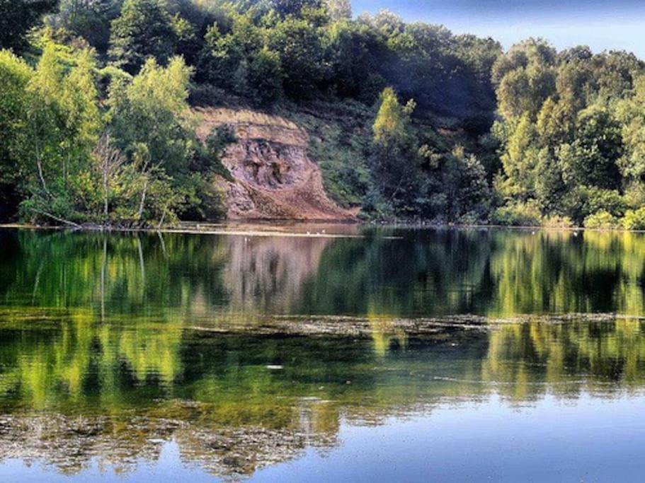 Forestry Cottage. Hot Tub, Open Fire, Dog Friendly Gaywood Екстер'єр фото